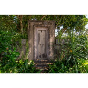 A picture of a temple door in a forest