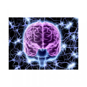 A picture of a brain with neurons firing all around it.