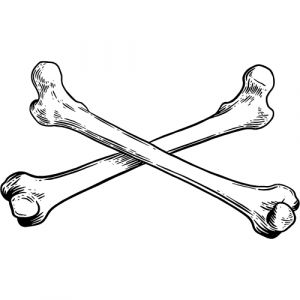 A graphic of crossed bones.