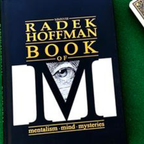A picture of the book "The Book of M"