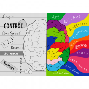 A picture of the two sides of the brain; Creative side and logical side.