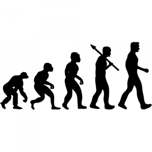 A picture of the theory of evolution, monkey to man.
