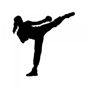 A silhouette of a martial artist kicking.