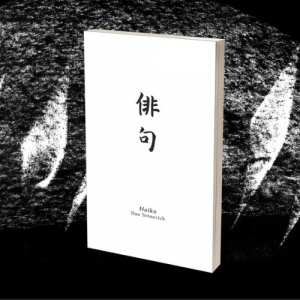 A picture of Haiku by Vincent Hedan.