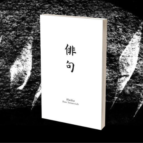 A picture of Haiku by Vincent Hedan.