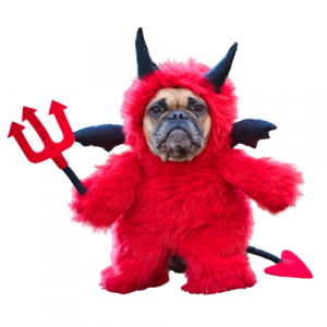 A dog in a devil's costume